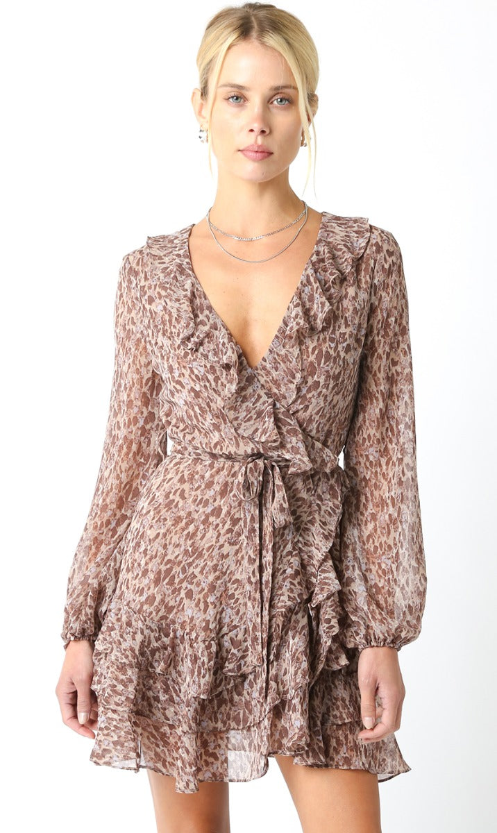 'Sammy Leopard Long Sleeve Dress'