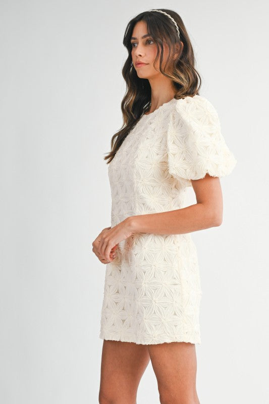 The 'Cindy Textured Puff Sleeve Mini Dress'