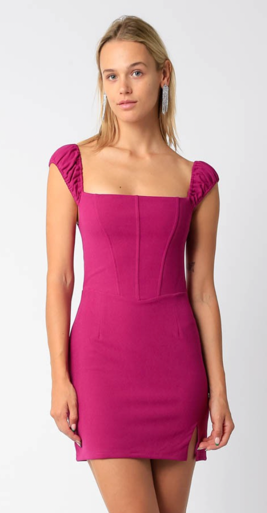 The 'Bridgette Corset Mini Dress'