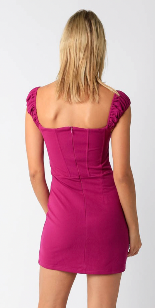 The 'Bridgette Corset Mini Dress'